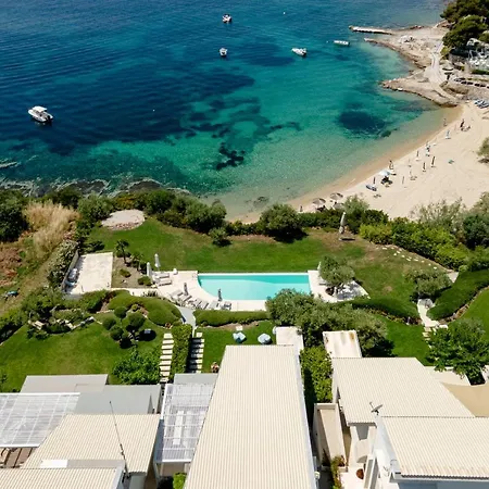 Akti Beachfront Chalkidiki Ελιά